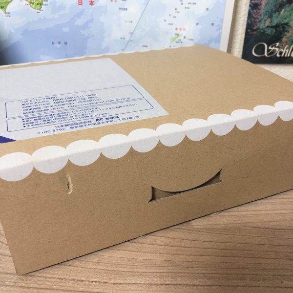 公式通販 マイリトルボックス 11点セット